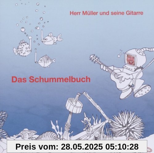 Das Schummelbuch von Herr Müller und seine Gitarre