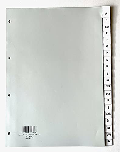40x HETZEL Kunststoff-Register, A4, grau, 20 tlg, inkl. auswechselbaren Beschriftungsfeldern, Trennblätter von Hetzel