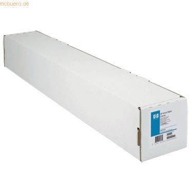 Hewlett Packard HP 390G 1067 MM X 15.2 M mattes Canvas Hewlett Packard HP 390G 1067 MM X 15.2 M mattes Canvas von Hewlett Packard