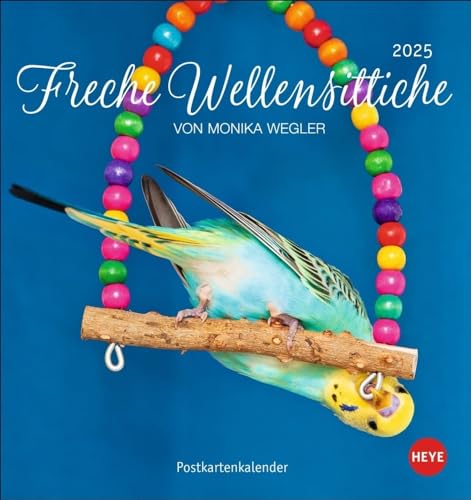 Freche Wellensittiche Postkartenkalender 2025: von Monika Wegler. Die bunten Vögel in einem kleinen Kalender zum Aufstellen und Aufhängen. ... (Postkartenkalender Heye) von Heye