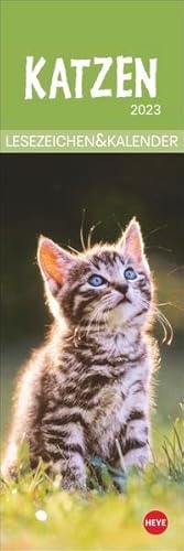 Katzen Lesezeichen & Kalender 2023. Süße Kätzchen in einem Mini-Kalender. Perfekt als kleine Aufmerksamkeit zu Weihnachten. Das Mitbringsel für Katzenfans und Bücherwürmer! Katzen Lesezeichen & Kalender 2023. Süße Kätzchen in einem Mini-Kalender. Perfekt als kleine Aufmerksamkeit zu Weihnachten. Das Mitbringsel für Katzenfans und Bücherwürmer! von Heye