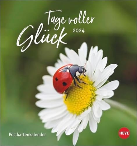 Tage voller Glück Postkartenkalender 2024. Kalender mit Postkarten zum Sammeln oder Verschicken. Inspirierende Fotos mit Sprüchen. Fotokalender zum Aufstellen oder Aufhängen. von Heye