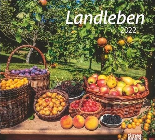 times&more Landleben Bildkalender 2022 von Heye