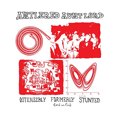 Ostensibly Formerly Stunted [Vinyl LP] von Hhbtm