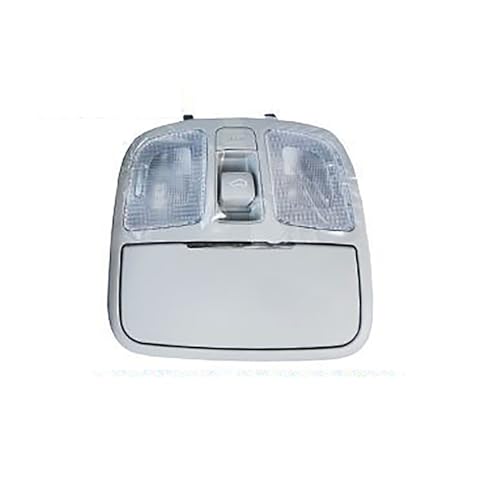Dach Lesen Licht Auto Oberen Fenster Zentrum Schiebedach Schalter Schlüssel Karte Dome Lampe Für Hyundai Kia 92810-1D000RU 92810-1D000QW 92810-2M500.,C-92810-2M500X6 von HhyY6LL