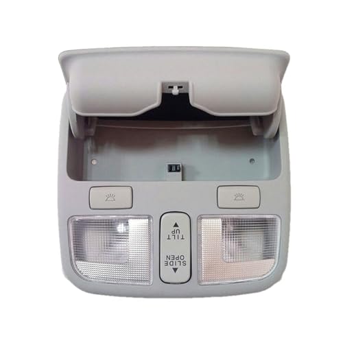 Dach Lesen Licht Auto Oberen Fenster Zentrum Schiebedach Schalter Schlüssel Karte Dome Lampe Für Hyundai Sonata NF 2009.,B-Grey von HhyY6LL
