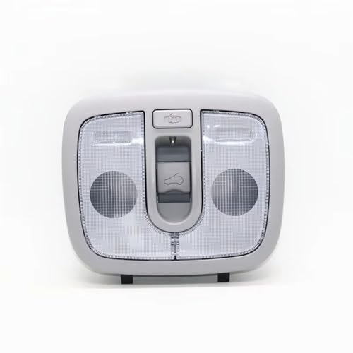 Dach Lesen Licht Auto Oberen Fenster Zentrum Schiebedach Schalter Schlüssel Karte Dome Lampe Für KIA RIO RIO5 2012-928101W000. von HhyY6LL