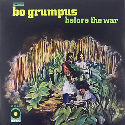 Before the War [Vinyl LP] von Hi Horse Records