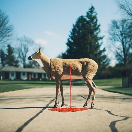 Bastion [Vinyl LP] von Thirty Tigers