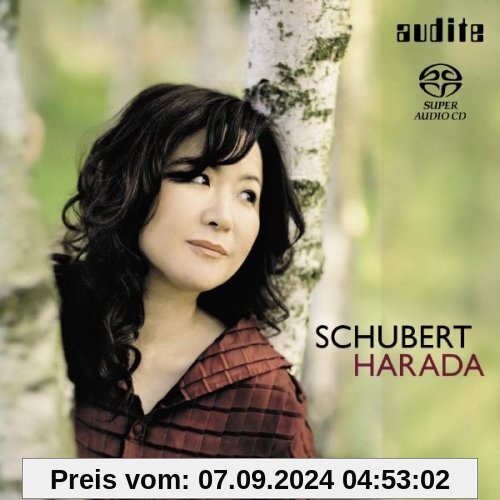 Wanderer-Fantasie/Sonate 21 B-Dur D 960 von Hideyo Harada