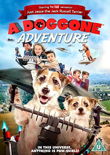 A Doggone Adventure [DVD] von High Fliers Films