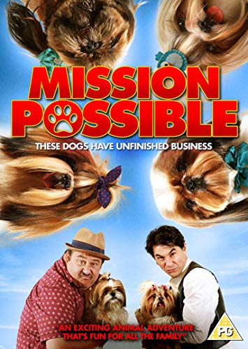 Mission Possible [DVD] von High Fliers Films