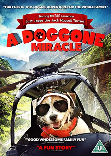 A Doggone Miracle [DVD] von High Fliers
