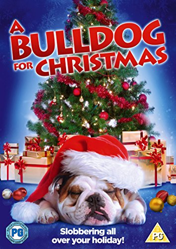 Bulldog For Christmas [DVD] von High Fliers