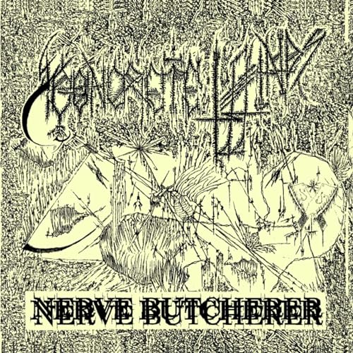 Nerve Butcherer (Jewelcase) von High Roller Records (Soulfood)