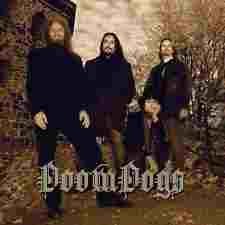 Doomdogs [Vinyl LP] von High Roller