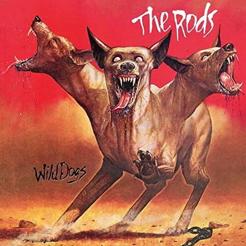 Wild Dogs (Orange) von High Roller