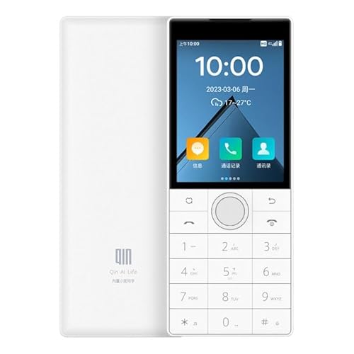 High-Tech Place QIN F22 Global, 3 GB + 32 GB, 2,8 Zoll, Android 11.0 MTK6739 Quad Core, Netzwerk:4G, Unterstützung von Google Play (weiß) von High-Tech Place