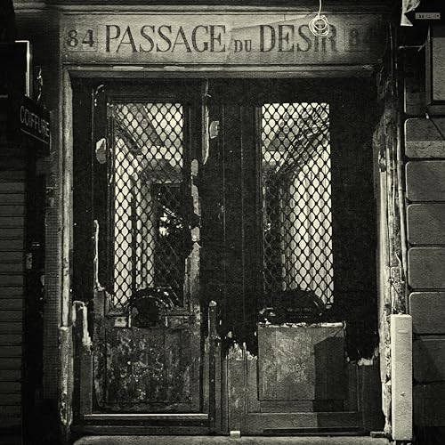Passage Du Desir [Vinyl LP] von Thirty Tigers