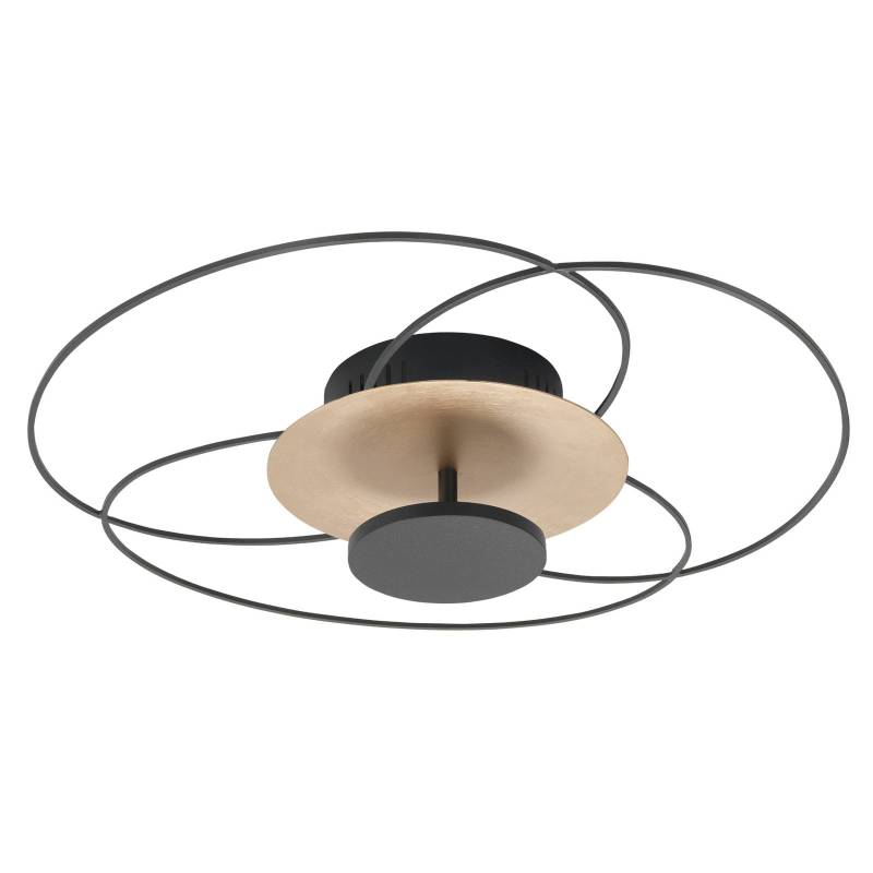 LED-Deckenleuchte Fiore, 2.700 K, schwarz/gold von Highlight