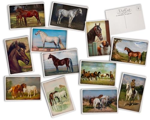 Hill Valley Greetings Vintage Horses Postkarten – 24 Vintage-Postkarten – 12 verschiedene Retro-Pferde-Drucke – gedruckt auf antikem, strukturiertem Karton von Hill Valley Greetings