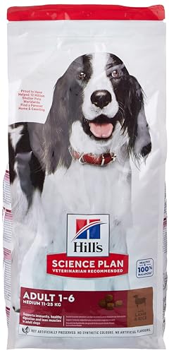 Hills 604276 Dogs Dry Food 2.5 kg Beef von Hill's