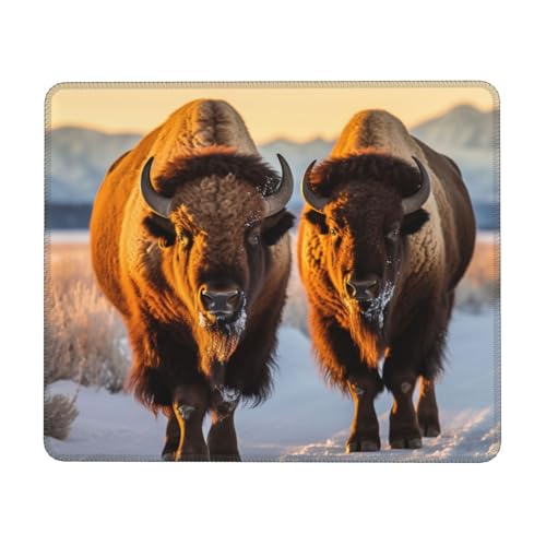 Hingor Mauspad mit Nationalpark-Druck, mit genähten Kanten, Premium-Textur-Mauspad, rutschfeste Gummiunterseite, Mauspad für Gaming, Laptop, Computer Hingor Mauspad mit Nationalpark-Druck, mit genähten Kanten, Premium-Textur-Mauspad, rutschfeste Gummiunterseite, Mauspad für Gaming, Laptop, Computer von Hingor