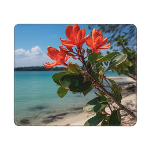 Hingor Mauspad mit tropischem Strand-Pflanzen-Motiv, für Büro und Zuhause, personalisiertes Mauspad, wasserdichtes Mauspad, rutschfeste Gummiunterseite, Computer-Mauspads für kabellose Maus Hingor Mauspad mit tropischem Strand-Pflanzen-Motiv, für Büro und Zuhause, personalisiertes Mauspad, wasserdichtes Mauspad, rutschfeste Gummiunterseite, Computer-Mauspads für kabellose Maus von Hingor