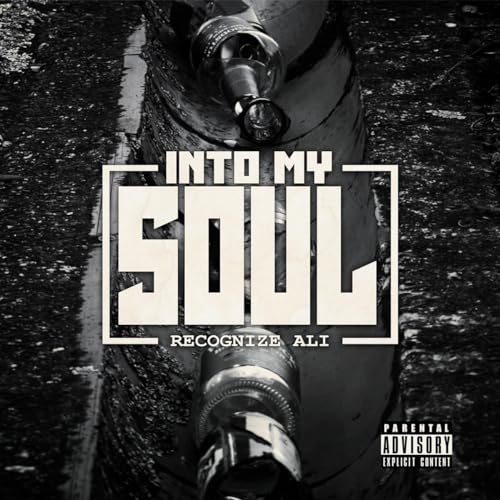 Into My Soul [Vinyl LP] von Hip-Hop Enterprise