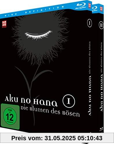 Aku no Hana: Die Blumen des Bösen - Gesamtausgabe - [Blu-ray] von Hiroshi Nagahama
