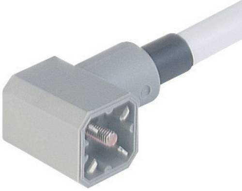 Hirschmann Leitungsstecker mit angespritzter Leitung Grau G 30KW M Pole:3 + PE 931 783-001-100 Inhal von Hirschmann