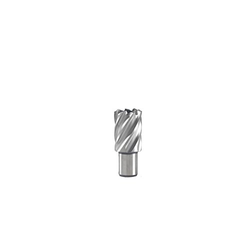 Brocas Huecas para metal cortas - M1: 19 M2: 65 M3: 30 Brocas Huecas para metal cortas - M1: 19 M2: 65 M3: 30 von Hitachi
