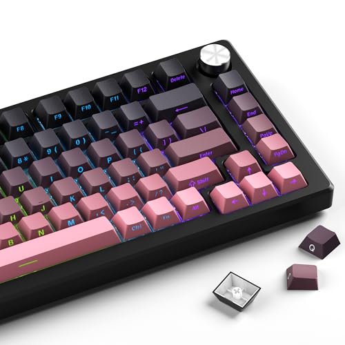 Hkfos BlackBerry Double Shot PBT-Tastenkappen mit Farbverlauf, 75 %, Kirschprofil, glänzt durch Tastenkappen, minimalistischer Stil, benutzerdefiniertes Tastenkappen-Set für mechanische Tastaturen Hkfos BlackBerry Double Shot PBT-Tastenkappen mit Farbverlauf, 75 %, Kirschprofil, glänzt durch Tastenkappen, minimalistischer Stil, benutzerdefiniertes Tastenkappen-Set für mechanische Tastaturen von Hkfos