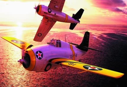 F4F-3 early Wildcat von HobbyBoss