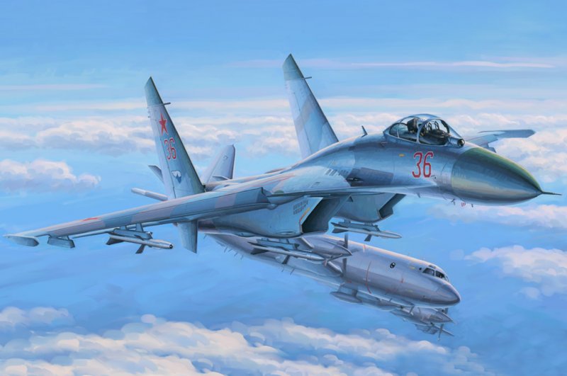 Su-27 Flanker Early von HobbyBoss