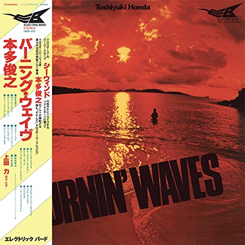 Burnin' Waves Burnin' Waves von Holy Basil Records