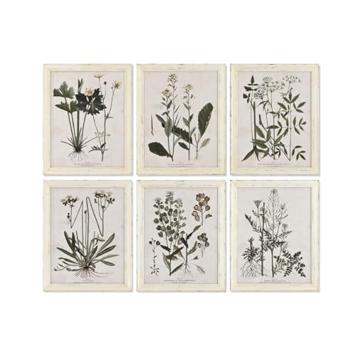 Home ESPRIT Bild im Shabby-Chic-Stil, botanische Pflanzen, 40 x 1,5 x 50 cm, 6 Stück von Home ESPRIT