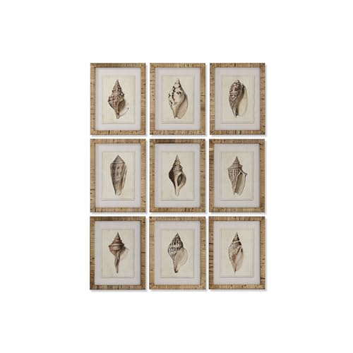 Home ESPRIT Mediterranes Bild Muschel 30 x 2,5 x 40 cm (9 Stück) von Home ESPRIT