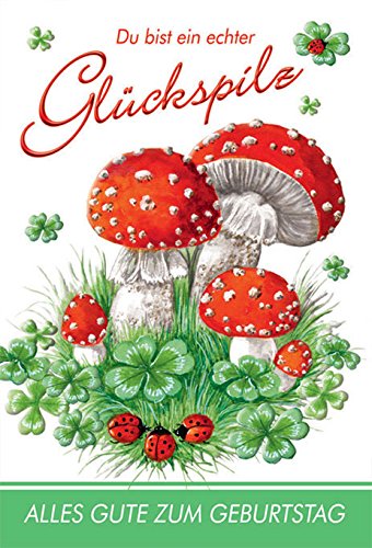 Home Fashion® Glückspilz-Karte, Grußkarte, 17,5 x 12 cm, whimsisch, Glückspilz-Muster Home Fashion® Glückspilz-Karte, Grußkarte, 17,5 x 12 cm, whimsisch, Glückspilz-Muster von Home Fashion