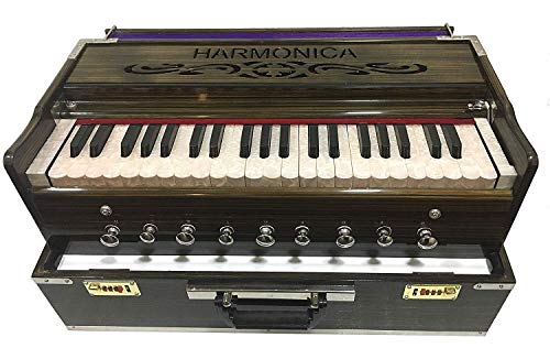 HomeAdri Musicals 9 Stopper, tragbares Harmonium, Chudidaar Balg, 42 Tasten, 2 Stimmzungen, Bass, männlicher Rückwärtskoppler (tragbares Harmonium) von HomeAdri