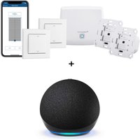 Homematic IP Starter-Set Beschattung + Echo Dot Gen. 5 Homematic IP Starter-Set Beschattung + Echo Dot Gen. 5 von Homematic IP