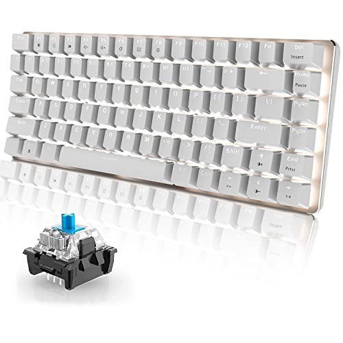 60% Mechanische Gaming-Tastatur-Hot Swap-Swap-Swap-Tasten mit kabelgebundener Kabel-Typ-C Kompakte Tastatur mit weißem LED-Hintergrundbeleuchtung für PC-Gamer /--Typisten (blauer Schalter, weiß) von Hoopond