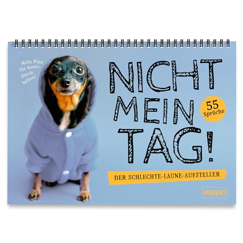NICHT MEIN TAG! – Aufsteller mit witzigen 55 Sprüchen für einen schlechten Tag und Stimmung NICHT MEIN TAG! – Aufsteller mit witzigen 55 Sprüchen für einen schlechten Tag und Stimmung von Hoppla! Verlag