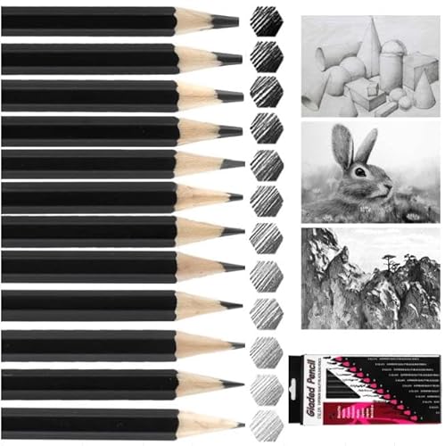 Hopton Bleistift Set 12 Stück: 2H-8B Skizzierstifte mit 12 Härtegraden, Professionelle Zeichenstifte für Künstler, Erwachsene & Anfänger - Ideal für Zeichnen, Skizzieren & Kunstprojekte von Hopton