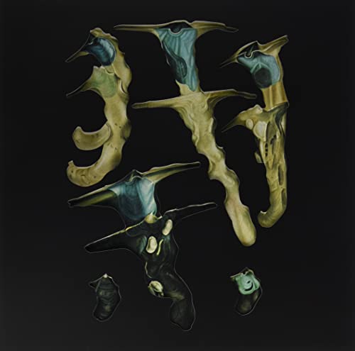 Jellyfish Reproduce Black Magic [Vinyl LP] von Hospital Production