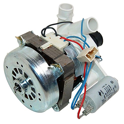 HOTPOINT echtem Geschirrspüler wasserzirkulation Wash Motor & Pumpe HOTPOINT echtem Geschirrspüler wasserzirkulation Wash Motor & Pumpe von Hotpoint