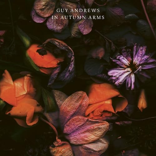 In Autumn Arms [Vinyl LP] von Houndstooth