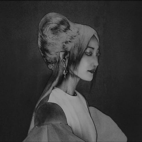 stillness, softness… [Vinyl LP] von Houndstooth