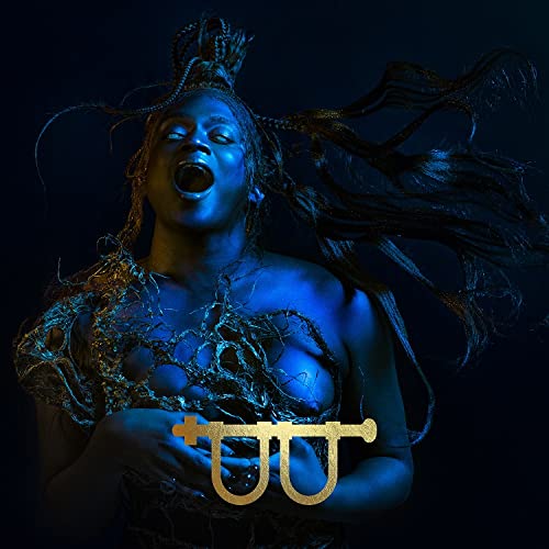 Water [Vinyl LP] von Houndstooth
