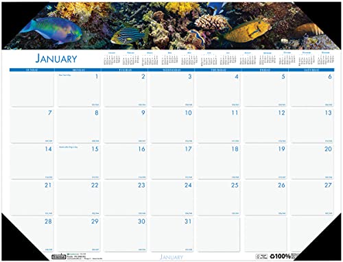House of Doolittle Monatlicher Schreibtischunterlagen-Kalender 2024, Earthscapes Sea Life, 47,7 x 33 cm, Januar – Dezember (HOD1936-24) von House of Doolittle